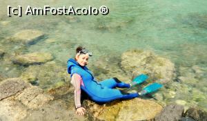 [P16] Rhodos - Kallithea- Pregatita de o sesiune de Scuba Diving » foto by alina1104
 - 
<span class="allrVoted glyphicon glyphicon-heart hidden" id="av718215"></span>
<a class="m-l-10 hidden" id="sv718215" onclick="voting_Foto_DelVot(,718215,3837)" role="button">șterge vot <span class="glyphicon glyphicon-remove"></span></a>
<a id="v9718215" class=" c-red"  onclick="voting_Foto_SetVot(718215)" role="button"><span class="glyphicon glyphicon-heart-empty"></span> <b>LIKE</b> = Votează poza</a> <img class="hidden"  id="f718215W9" src="/imagini/loader.gif" border="0" /><span class="AjErrMes hidden" id="e718215ErM"></span>