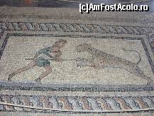 [P35] mozaic roman din insula Kos(daca engleza mea e corecta) » foto by Eleni
 - 
<span class="allrVoted glyphicon glyphicon-heart hidden" id="av142060"></span>
<a class="m-l-10 hidden" id="sv142060" onclick="voting_Foto_DelVot(,142060,3837)" role="button">șterge vot <span class="glyphicon glyphicon-remove"></span></a>
<a id="v9142060" class=" c-red"  onclick="voting_Foto_SetVot(142060)" role="button"><span class="glyphicon glyphicon-heart-empty"></span> <b>LIKE</b> = Votează poza</a> <img class="hidden"  id="f142060W9" src="/imagini/loader.gif" border="0" /><span class="AjErrMes hidden" id="e142060ErM"></span>