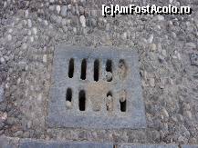 [P15] credeati c-am glumit cind am spus ca am fotografiat tot-tot??? » foto by Eleni
 - 
<span class="allrVoted glyphicon glyphicon-heart hidden" id="av144390"></span>
<a class="m-l-10 hidden" id="sv144390" onclick="voting_Foto_DelVot(,144390,3837)" role="button">șterge vot <span class="glyphicon glyphicon-remove"></span></a>
<a id="v9144390" class=" c-red"  onclick="voting_Foto_SetVot(144390)" role="button"><span class="glyphicon glyphicon-heart-empty"></span> <b>LIKE</b> = Votează poza</a> <img class="hidden"  id="f144390W9" src="/imagini/loader.gif" border="0" /><span class="AjErrMes hidden" id="e144390ErM"></span>