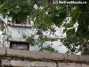 [P19] Detaliu al vilei Virginuca in care se poate observa chenarul de piatra cu numele scris, evident, romaneste » foto by kikiritzi
 - 
<span class="allrVoted glyphicon glyphicon-heart hidden" id="av586175"></span>
<a class="m-l-10 hidden" id="sv586175" onclick="voting_Foto_DelVot(,586175,3839)" role="button">șterge vot <span class="glyphicon glyphicon-remove"></span></a>
<a id="v9586175" class=" c-red"  onclick="voting_Foto_SetVot(586175)" role="button"><span class="glyphicon glyphicon-heart-empty"></span> <b>LIKE</b> = Votează poza</a> <img class="hidden"  id="f586175W9" src="/imagini/loader.gif" border="0" /><span class="AjErrMes hidden" id="e586175ErM"></span>