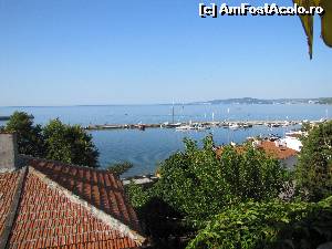 [P08] Vedere spre mare din gradina Luli.  » foto by elviramvio
 - 
<span class="allrVoted glyphicon glyphicon-heart hidden" id="av645530"></span>
<a class="m-l-10 hidden" id="sv645530" onclick="voting_Foto_DelVot(,645530,3839)" role="button">șterge vot <span class="glyphicon glyphicon-remove"></span></a>
<a id="v9645530" class=" c-red"  onclick="voting_Foto_SetVot(645530)" role="button"><span class="glyphicon glyphicon-heart-empty"></span> <b>LIKE</b> = Votează poza</a> <img class="hidden"  id="f645530W9" src="/imagini/loader.gif" border="0" /><span class="AjErrMes hidden" id="e645530ErM"></span>