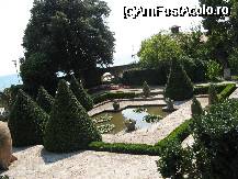 [P08]  -- <small>// FĂRĂ DESCRIERE</small> » foto by pepsi70ro
 - 
<span class="allrVoted glyphicon glyphicon-heart hidden" id="av26523"></span>
<a class="m-l-10 hidden" id="sv26523" onclick="voting_Foto_DelVot(,26523,3839)" role="button">șterge vot <span class="glyphicon glyphicon-remove"></span></a>
<a id="v926523" class=" c-red"  onclick="voting_Foto_SetVot(26523)" role="button"><span class="glyphicon glyphicon-heart-empty"></span> <b>LIKE</b> = Votează poza</a> <img class="hidden"  id="f26523W9" src="/imagini/loader.gif" border="0" /><span class="AjErrMes hidden" id="e26523ErM"></span>