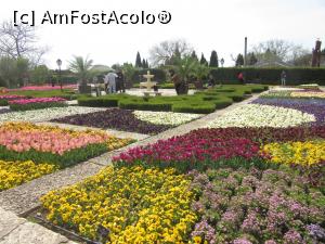 [P17] Grădina botanică Balcic » foto by Michi
 - 
<span class="allrVoted glyphicon glyphicon-heart hidden" id="av1361031"></span>
<a class="m-l-10 hidden" id="sv1361031" onclick="voting_Foto_DelVot(,1361031,3839)" role="button">șterge vot <span class="glyphicon glyphicon-remove"></span></a>
<a id="v91361031" class=" c-red"  onclick="voting_Foto_SetVot(1361031)" role="button"><span class="glyphicon glyphicon-heart-empty"></span> <b>LIKE</b> = Votează poza</a> <img class="hidden"  id="f1361031W9" src="/imagini/loader.gif" border="0" /><span class="AjErrMes hidden" id="e1361031ErM"></span>