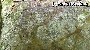 [P21] Tavanul surpat al 'Peșterii cu Apă de la Băi' » foto by bog68
 - 
<span class="allrVoted glyphicon glyphicon-heart hidden" id="av515005"></span>
<a class="m-l-10 hidden" id="sv515005" onclick="voting_Foto_DelVot(,515005,3841)" role="button">șterge vot <span class="glyphicon glyphicon-remove"></span></a>
<a id="v9515005" class=" c-red"  onclick="voting_Foto_SetVot(515005)" role="button"><span class="glyphicon glyphicon-heart-empty"></span> <b>LIKE</b> = Votează poza</a> <img class="hidden"  id="f515005W9" src="/imagini/loader.gif" border="0" /><span class="AjErrMes hidden" id="e515005ErM"></span>