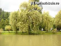 [P06] lacul » foto by inutiu
 - 
<span class="allrVoted glyphicon glyphicon-heart hidden" id="av310125"></span>
<a class="m-l-10 hidden" id="sv310125" onclick="voting_Foto_DelVot(,310125,3841)" role="button">șterge vot <span class="glyphicon glyphicon-remove"></span></a>
<a id="v9310125" class=" c-red"  onclick="voting_Foto_SetVot(310125)" role="button"><span class="glyphicon glyphicon-heart-empty"></span> <b>LIKE</b> = Votează poza</a> <img class="hidden"  id="f310125W9" src="/imagini/loader.gif" border="0" /><span class="AjErrMes hidden" id="e310125ErM"></span>