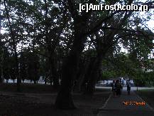 [P16] Baile Felix, parcul din statiune » foto by sunflower
 - 
<span class="allrVoted glyphicon glyphicon-heart hidden" id="av451086"></span>
<a class="m-l-10 hidden" id="sv451086" onclick="voting_Foto_DelVot(,451086,3846)" role="button">șterge vot <span class="glyphicon glyphicon-remove"></span></a>
<a id="v9451086" class=" c-red"  onclick="voting_Foto_SetVot(451086)" role="button"><span class="glyphicon glyphicon-heart-empty"></span> <b>LIKE</b> = Votează poza</a> <img class="hidden"  id="f451086W9" src="/imagini/loader.gif" border="0" /><span class="AjErrMes hidden" id="e451086ErM"></span>