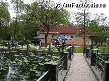 [P26] Baile Felix - terasa deschisa in rezevatie » foto by danoradea
 - 
<span class="allrVoted glyphicon glyphicon-heart hidden" id="av69968"></span>
<a class="m-l-10 hidden" id="sv69968" onclick="voting_Foto_DelVot(,69968,3846)" role="button">șterge vot <span class="glyphicon glyphicon-remove"></span></a>
<a id="v969968" class=" c-red"  onclick="voting_Foto_SetVot(69968)" role="button"><span class="glyphicon glyphicon-heart-empty"></span> <b>LIKE</b> = Votează poza</a> <img class="hidden"  id="f69968W9" src="/imagini/loader.gif" border="0" /><span class="AjErrMes hidden" id="e69968ErM"></span>