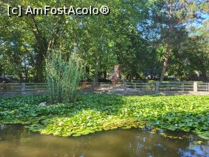 [P08] Lacul cu nuferi » foto by tripyy
 - 
<span class="allrVoted glyphicon glyphicon-heart hidden" id="av1313776"></span>
<a class="m-l-10 hidden" id="sv1313776" onclick="voting_Foto_DelVot(,1313776,3846)" role="button">șterge vot <span class="glyphicon glyphicon-remove"></span></a>
<a id="v91313776" class=" c-red"  onclick="voting_Foto_SetVot(1313776)" role="button"><span class="glyphicon glyphicon-heart-empty"></span> <b>LIKE</b> = Votează poza</a> <img class="hidden"  id="f1313776W9" src="/imagini/loader.gif" border="0" /><span class="AjErrMes hidden" id="e1313776ErM"></span>