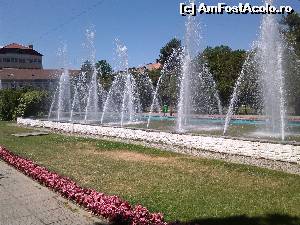 [P20] Parcul 1 Decembrie » foto by IULIU ANTAL
 - 
<span class="allrVoted glyphicon glyphicon-heart hidden" id="av579161"></span>
<a class="m-l-10 hidden" id="sv579161" onclick="voting_Foto_DelVot(,579161,3848)" role="button">șterge vot <span class="glyphicon glyphicon-remove"></span></a>
<a id="v9579161" class=" c-red"  onclick="voting_Foto_SetVot(579161)" role="button"><span class="glyphicon glyphicon-heart-empty"></span> <b>LIKE</b> = Votează poza</a> <img class="hidden"  id="f579161W9" src="/imagini/loader.gif" border="0" /><span class="AjErrMes hidden" id="e579161ErM"></span>