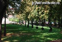 [P04] Oradea, Cetatea Oradea, Parcul dendrologic din șanțul de apărare al cetății » foto by unq
 - 
<span class="allrVoted glyphicon glyphicon-heart hidden" id="av457113"></span>
<a class="m-l-10 hidden" id="sv457113" onclick="voting_Foto_DelVot(,457113,3848)" role="button">șterge vot <span class="glyphicon glyphicon-remove"></span></a>
<a id="v9457113" class=" c-red"  onclick="voting_Foto_SetVot(457113)" role="button"><span class="glyphicon glyphicon-heart-empty"></span> <b>LIKE</b> = Votează poza</a> <img class="hidden"  id="f457113W9" src="/imagini/loader.gif" border="0" /><span class="AjErrMes hidden" id="e457113ErM"></span>