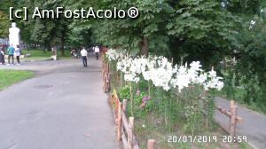 [P33] Parcul Libertății » foto by ungureanica
 - 
<span class="allrVoted glyphicon glyphicon-heart hidden" id="av1127278"></span>
<a class="m-l-10 hidden" id="sv1127278" onclick="voting_Foto_DelVot(,1127278,3848)" role="button">șterge vot <span class="glyphicon glyphicon-remove"></span></a>
<a id="v91127278" class=" c-red"  onclick="voting_Foto_SetVot(1127278)" role="button"><span class="glyphicon glyphicon-heart-empty"></span> <b>LIKE</b> = Votează poza</a> <img class="hidden"  id="f1127278W9" src="/imagini/loader.gif" border="0" /><span class="AjErrMes hidden" id="e1127278ErM"></span>
