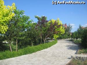 [P15] La plimbare prin complex, aleea ce duce la Villa Rossa » foto by dorgo
 - 
<span class="allrVoted glyphicon glyphicon-heart hidden" id="av625071"></span>
<a class="m-l-10 hidden" id="sv625071" onclick="voting_Foto_DelVot(,625071,3848)" role="button">șterge vot <span class="glyphicon glyphicon-remove"></span></a>
<a id="v9625071" class=" c-red"  onclick="voting_Foto_SetVot(625071)" role="button"><span class="glyphicon glyphicon-heart-empty"></span> <b>LIKE</b> = Votează poza</a> <img class="hidden"  id="f625071W9" src="/imagini/loader.gif" border="0" /><span class="AjErrMes hidden" id="e625071ErM"></span>
