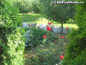[P16] Aleea e inconjurata de multiple aranjamente florale » foto by dorgo
 - 
<span class="allrVoted glyphicon glyphicon-heart hidden" id="av625072"></span>
<a class="m-l-10 hidden" id="sv625072" onclick="voting_Foto_DelVot(,625072,3848)" role="button">șterge vot <span class="glyphicon glyphicon-remove"></span></a>
<a id="v9625072" class=" c-red"  onclick="voting_Foto_SetVot(625072)" role="button"><span class="glyphicon glyphicon-heart-empty"></span> <b>LIKE</b> = Votează poza</a> <img class="hidden"  id="f625072W9" src="/imagini/loader.gif" border="0" /><span class="AjErrMes hidden" id="e625072ErM"></span>