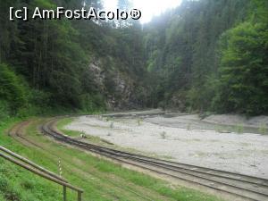 [P08] Valea Vaserului » foto by catalinioan
 - 
<span class="allrVoted glyphicon glyphicon-heart hidden" id="av1082190"></span>
<a class="m-l-10 hidden" id="sv1082190" onclick="voting_Foto_DelVot(,1082190,3852)" role="button">șterge vot <span class="glyphicon glyphicon-remove"></span></a>
<a id="v91082190" class=" c-red"  onclick="voting_Foto_SetVot(1082190)" role="button"><span class="glyphicon glyphicon-heart-empty"></span> <b>LIKE</b> = Votează poza</a> <img class="hidden"  id="f1082190W9" src="/imagini/loader.gif" border="0" /><span class="AjErrMes hidden" id="e1082190ErM"></span>
