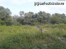 [P32] Sediul PGVU - toaleta ecologică! » foto by Dragoș_MD
 - 
<span class="allrVoted glyphicon glyphicon-heart hidden" id="av141377"></span>
<a class="m-l-10 hidden" id="sv141377" onclick="voting_Foto_DelVot(,141377,3854)" role="button">șterge vot <span class="glyphicon glyphicon-remove"></span></a>
<a id="v9141377" class=" c-red"  onclick="voting_Foto_SetVot(141377)" role="button"><span class="glyphicon glyphicon-heart-empty"></span> <b>LIKE</b> = Votează poza</a> <img class="hidden"  id="f141377W9" src="/imagini/loader.gif" border="0" /><span class="AjErrMes hidden" id="e141377ErM"></span>
