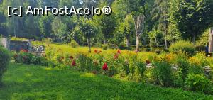 [P25] Cromatică din parc » foto by zapacitu
 - 
<span class="allrVoted glyphicon glyphicon-heart hidden" id="av1317165"></span>
<a class="m-l-10 hidden" id="sv1317165" onclick="voting_Foto_DelVot(,1317165,3860)" role="button">șterge vot <span class="glyphicon glyphicon-remove"></span></a>
<a id="v91317165" class=" c-red"  onclick="voting_Foto_SetVot(1317165)" role="button"><span class="glyphicon glyphicon-heart-empty"></span> <b>LIKE</b> = Votează poza</a> <img class="hidden"  id="f1317165W9" src="/imagini/loader.gif" border="0" /><span class="AjErrMes hidden" id="e1317165ErM"></span>