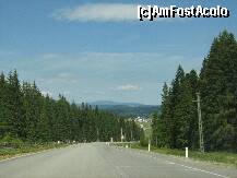 [P06] in apropiere de comuna Poiana Stampei, in judetul Suceava, limita dintre judetele Bistrita si Suceava » foto by cristi82d
 - 
<span class="allrVoted glyphicon glyphicon-heart hidden" id="av125744"></span>
<a class="m-l-10 hidden" id="sv125744" onclick="voting_Foto_DelVot(,125744,3870)" role="button">șterge vot <span class="glyphicon glyphicon-remove"></span></a>
<a id="v9125744" class=" c-red"  onclick="voting_Foto_SetVot(125744)" role="button"><span class="glyphicon glyphicon-heart-empty"></span> <b>LIKE</b> = Votează poza</a> <img class="hidden"  id="f125744W9" src="/imagini/loader.gif" border="0" /><span class="AjErrMes hidden" id="e125744ErM"></span>
