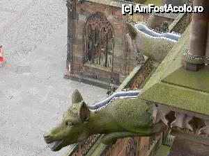 [P27] Strasbourg. Catedrala Notre Dame.  » foto by doina_c24
 - 
<span class="allrVoted glyphicon glyphicon-heart hidden" id="av392212"></span>
<a class="m-l-10 hidden" id="sv392212" onclick="voting_Foto_DelVot(,392212,3883)" role="button">șterge vot <span class="glyphicon glyphicon-remove"></span></a>
<a id="v9392212" class=" c-red"  onclick="voting_Foto_SetVot(392212)" role="button"><span class="glyphicon glyphicon-heart-empty"></span> <b>LIKE</b> = Votează poza</a> <img class="hidden"  id="f392212W9" src="/imagini/loader.gif" border="0" /><span class="AjErrMes hidden" id="e392212ErM"></span>
