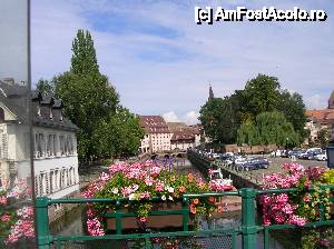 [P48] Strasbourg. Printre flori şi canale.  » foto by doina_c24
 - 
<span class="allrVoted glyphicon glyphicon-heart hidden" id="av392243"></span>
<a class="m-l-10 hidden" id="sv392243" onclick="voting_Foto_DelVot(,392243,3883)" role="button">șterge vot <span class="glyphicon glyphicon-remove"></span></a>
<a id="v9392243" class=" c-red"  onclick="voting_Foto_SetVot(392243)" role="button"><span class="glyphicon glyphicon-heart-empty"></span> <b>LIKE</b> = Votează poza</a> <img class="hidden"  id="f392243W9" src="/imagini/loader.gif" border="0" /><span class="AjErrMes hidden" id="e392243ErM"></span>