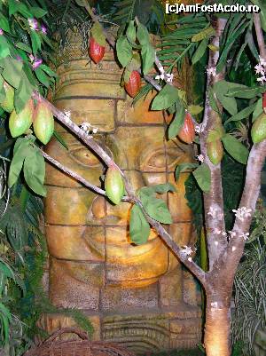 [P08] Strasbourg - Muzeul ”Secretele Ciocolatei” - arborele de cacao - arbore sacru pentru azteci.  » foto by doina_c24
 - 
<span class="allrVoted glyphicon glyphicon-heart hidden" id="av401819"></span>
<a class="m-l-10 hidden" id="sv401819" onclick="voting_Foto_DelVot(,401819,3883)" role="button">șterge vot <span class="glyphicon glyphicon-remove"></span></a>
<a id="v9401819" class=" c-red"  onclick="voting_Foto_SetVot(401819)" role="button"><span class="glyphicon glyphicon-heart-empty"></span> <b>LIKE</b> = Votează poza</a> <img class="hidden"  id="f401819W9" src="/imagini/loader.gif" border="0" /><span class="AjErrMes hidden" id="e401819ErM"></span>