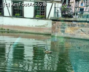 [P18] Cartierul Petite France » foto by Carmen Ion
 - 
<span class="allrVoted glyphicon glyphicon-heart hidden" id="av1218116"></span>
<a class="m-l-10 hidden" id="sv1218116" onclick="voting_Foto_DelVot(,1218116,3883)" role="button">șterge vot <span class="glyphicon glyphicon-remove"></span></a>
<a id="v91218116" class=" c-red"  onclick="voting_Foto_SetVot(1218116)" role="button"><span class="glyphicon glyphicon-heart-empty"></span> <b>LIKE</b> = Votează poza</a> <img class="hidden"  id="f1218116W9" src="/imagini/loader.gif" border="0" /><span class="AjErrMes hidden" id="e1218116ErM"></span>