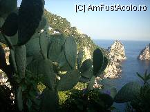 [P03] Faraglioni-simbolul insulei Capri. » foto by georgiana
 - 
<span class="allrVoted glyphicon glyphicon-heart hidden" id="av27451"></span>
<a class="m-l-10 hidden" id="sv27451" onclick="voting_Foto_DelVot(,27451,3887)" role="button">șterge vot <span class="glyphicon glyphicon-remove"></span></a>
<a id="v927451" class=" c-red"  onclick="voting_Foto_SetVot(27451)" role="button"><span class="glyphicon glyphicon-heart-empty"></span> <b>LIKE</b> = Votează poza</a> <img class="hidden"  id="f27451W9" src="/imagini/loader.gif" border="0" /><span class="AjErrMes hidden" id="e27451ErM"></span>