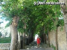 [P54] Insula Capri - Anacapri » foto by popescu.borsa*
 - 
<span class="allrVoted glyphicon glyphicon-heart hidden" id="av201858"></span>
<a class="m-l-10 hidden" id="sv201858" onclick="voting_Foto_DelVot(,201858,3887)" role="button">șterge vot <span class="glyphicon glyphicon-remove"></span></a>
<a id="v9201858" class=" c-red"  onclick="voting_Foto_SetVot(201858)" role="button"><span class="glyphicon glyphicon-heart-empty"></span> <b>LIKE</b> = Votează poza</a> <img class="hidden"  id="f201858W9" src="/imagini/loader.gif" border="0" /><span class="AjErrMes hidden" id="e201858ErM"></span>