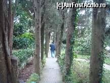 [P19] aleea cu copaci pe care am plecat din gradina spre iesire,mutele Barbarossa in stanga si statuia u chipul doctorului in dreapta » foto by mecut
 - 
<span class="allrVoted glyphicon glyphicon-heart hidden" id="av190422"></span>
<a class="m-l-10 hidden" id="sv190422" onclick="voting_Foto_DelVot(,190422,3887)" role="button">șterge vot <span class="glyphicon glyphicon-remove"></span></a>
<a id="v9190422" class=" c-red"  onclick="voting_Foto_SetVot(190422)" role="button"><span class="glyphicon glyphicon-heart-empty"></span> <b>LIKE</b> = Votează poza</a> <img class="hidden"  id="f190422W9" src="/imagini/loader.gif" border="0" /><span class="AjErrMes hidden" id="e190422ErM"></span>