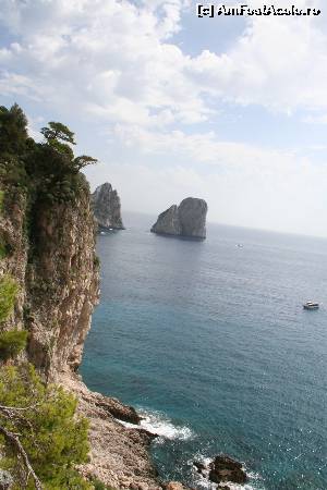 [P16] Il Faraglioni di Capri » foto by crysss18
 - 
<span class="allrVoted glyphicon glyphicon-heart hidden" id="av535396"></span>
<a class="m-l-10 hidden" id="sv535396" onclick="voting_Foto_DelVot(,535396,3887)" role="button">șterge vot <span class="glyphicon glyphicon-remove"></span></a>
<a id="v9535396" class=" c-red"  onclick="voting_Foto_SetVot(535396)" role="button"><span class="glyphicon glyphicon-heart-empty"></span> <b>LIKE</b> = Votează poza</a> <img class="hidden"  id="f535396W9" src="/imagini/loader.gif" border="0" /><span class="AjErrMes hidden" id="e535396ErM"></span>
