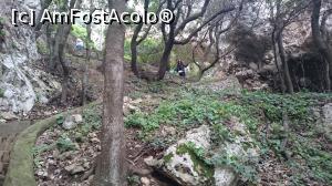[P30] Din nou prin padure. Ba urcam, ba coboram.  » foto by Aurici
 - 
<span class="allrVoted glyphicon glyphicon-heart hidden" id="av858231"></span>
<a class="m-l-10 hidden" id="sv858231" onclick="voting_Foto_DelVot(,858231,3887)" role="button">șterge vot <span class="glyphicon glyphicon-remove"></span></a>
<a id="v9858231" class=" c-red"  onclick="voting_Foto_SetVot(858231)" role="button"><span class="glyphicon glyphicon-heart-empty"></span> <b>LIKE</b> = Votează poza</a> <img class="hidden"  id="f858231W9" src="/imagini/loader.gif" border="0" /><span class="AjErrMes hidden" id="e858231ErM"></span>