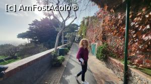[P16] <strong>Via Matteotti</strong>, pe care am pornit pentru a ajunge la urmatoarele obiective, Giardini di Augusto si Via Krupp. » foto by geani anto
 - 
<span class="allrVoted glyphicon glyphicon-heart hidden" id="av1409896"></span>
<a class="m-l-10 hidden" id="sv1409896" onclick="voting_Foto_DelVot(,1409896,3887)" role="button">șterge vot <span class="glyphicon glyphicon-remove"></span></a>
<a id="v91409896" class=" c-red"  onclick="voting_Foto_SetVot(1409896)" role="button"><span class="glyphicon glyphicon-heart-empty"></span> <b>LIKE</b> = Votează poza</a> <img class="hidden"  id="f1409896W9" src="/imagini/loader.gif" border="0" /><span class="AjErrMes hidden" id="e1409896ErM"></span>