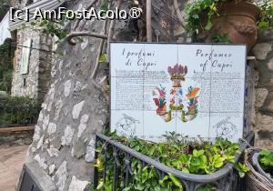 [P19] <strong>Parfumeria renumita Carthusia,</strong> care are legatura cu manastirea<strong> </strong>Certosa di San Giacomo. Povestea parfumurilor Carthusia incepe odata cu intamplarea staretului manastirii, care, luat prin surprindere de vizita reginei Giovanna d'Anjou, i-a alcatuit un buchet din florile cele mai parfumate culese de pe insula, care a fost pastrat in apa timp de trei zile. Staretul a remarcat apoi ca apa florilor are un miros deosebit de placut si cu ajutorul alchimistului manastirii a descoperit ca garofita salbatica de Capri este raspunzatoare de aceasta aroma. Astfel a luat nastere 'Garofilium Silvestre Caprese', primul parfum din Capri. » foto by geani anto
 - 
<span class="allrVoted glyphicon glyphicon-heart hidden" id="av1409899"></span>
<a class="m-l-10 hidden" id="sv1409899" onclick="voting_Foto_DelVot(,1409899,3887)" role="button">șterge vot <span class="glyphicon glyphicon-remove"></span></a>
<a id="v91409899" class=" c-red"  onclick="voting_Foto_SetVot(1409899)" role="button"><span class="glyphicon glyphicon-heart-empty"></span> <b>LIKE</b> = Votează poza</a> <img class="hidden"  id="f1409899W9" src="/imagini/loader.gif" border="0" /><span class="AjErrMes hidden" id="e1409899ErM"></span>