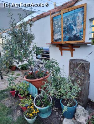 [P06] La Polovnik - decor » foto by crismis
 - 
<span class="allrVoted glyphicon glyphicon-heart hidden" id="av1394107"></span>
<a class="m-l-10 hidden" id="sv1394107" onclick="voting_Foto_DelVot(,1394107,3890)" role="button">șterge vot <span class="glyphicon glyphicon-remove"></span></a>
<a id="v91394107" class=" c-red"  onclick="voting_Foto_SetVot(1394107)" role="button"><span class="glyphicon glyphicon-heart-empty"></span> <b>LIKE</b> = Votează poza</a> <img class="hidden"  id="f1394107W9" src="/imagini/loader.gif" border="0" /><span class="AjErrMes hidden" id="e1394107ErM"></span>