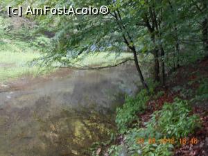 [P21] traseul e prin pădure, pe marginea apei » foto by zlatna
 - 
<span class="allrVoted glyphicon glyphicon-heart hidden" id="av1031358"></span>
<a class="m-l-10 hidden" id="sv1031358" onclick="voting_Foto_DelVot(,1031358,3894)" role="button">șterge vot <span class="glyphicon glyphicon-remove"></span></a>
<a id="v91031358" class=" c-red"  onclick="voting_Foto_SetVot(1031358)" role="button"><span class="glyphicon glyphicon-heart-empty"></span> <b>LIKE</b> = Votează poza</a> <img class="hidden"  id="f1031358W9" src="/imagini/loader.gif" border="0" /><span class="AjErrMes hidden" id="e1031358ErM"></span>