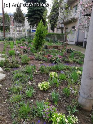 [P03] Gradina din fata blocului - Kladovo » foto by fredutza
 - 
<span class="allrVoted glyphicon glyphicon-heart hidden" id="av957932"></span>
<a class="m-l-10 hidden" id="sv957932" onclick="voting_Foto_DelVot(,957932,3894)" role="button">șterge vot <span class="glyphicon glyphicon-remove"></span></a>
<a id="v9957932" class=" c-red"  onclick="voting_Foto_SetVot(957932)" role="button"><span class="glyphicon glyphicon-heart-empty"></span> <b>LIKE</b> = Votează poza</a> <img class="hidden"  id="f957932W9" src="/imagini/loader.gif" border="0" /><span class="AjErrMes hidden" id="e957932ErM"></span>