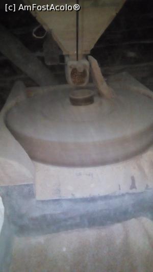 [P11] interior Moara din Rudăria » foto by steli68
 - 
<span class="allrVoted glyphicon glyphicon-heart hidden" id="av1063196"></span>
<a class="m-l-10 hidden" id="sv1063196" onclick="voting_Foto_DelVot(,1063196,3894)" role="button">șterge vot <span class="glyphicon glyphicon-remove"></span></a>
<a id="v91063196" class=" c-red"  onclick="voting_Foto_SetVot(1063196)" role="button"><span class="glyphicon glyphicon-heart-empty"></span> <b>LIKE</b> = Votează poza</a> <img class="hidden"  id="f1063196W9" src="/imagini/loader.gif" border="0" /><span class="AjErrMes hidden" id="e1063196ErM"></span>