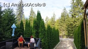 [P28] Miraj Hotel Poiana Brasov » foto by elenaadina
 - 
<span class="allrVoted glyphicon glyphicon-heart hidden" id="av1497047"></span>
<a class="m-l-10 hidden" id="sv1497047" onclick="voting_Foto_DelVot(,1497047,3895)" role="button">șterge vot <span class="glyphicon glyphicon-remove"></span></a>
<a id="v91497047" class=" c-red"  onclick="voting_Foto_SetVot(1497047)" role="button"><span class="glyphicon glyphicon-heart-empty"></span> <b>LIKE</b> = Votează poza</a> <img class="hidden"  id="f1497047W9" src="/imagini/loader.gif" border="0" /><span class="AjErrMes hidden" id="e1497047ErM"></span>