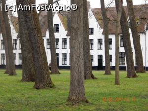 [P19] Béguinage (Begijnhof)  » foto by cristina47*
 - 
<span class="allrVoted glyphicon glyphicon-heart hidden" id="av838303"></span>
<a class="m-l-10 hidden" id="sv838303" onclick="voting_Foto_DelVot(,838303,3901)" role="button">șterge vot <span class="glyphicon glyphicon-remove"></span></a>
<a id="v9838303" class=" c-red"  onclick="voting_Foto_SetVot(838303)" role="button"><span class="glyphicon glyphicon-heart-empty"></span> <b>LIKE</b> = Votează poza</a> <img class="hidden"  id="f838303W9" src="/imagini/loader.gif" border="0" /><span class="AjErrMes hidden" id="e838303ErM"></span>