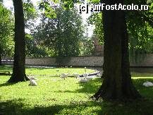 [P04] Bruges » foto by buburuzica
 - 
<span class="allrVoted glyphicon glyphicon-heart hidden" id="av5310"></span>
<a class="m-l-10 hidden" id="sv5310" onclick="voting_Foto_DelVot(,5310,3901)" role="button">șterge vot <span class="glyphicon glyphicon-remove"></span></a>
<a id="v95310" class=" c-red"  onclick="voting_Foto_SetVot(5310)" role="button"><span class="glyphicon glyphicon-heart-empty"></span> <b>LIKE</b> = Votează poza</a> <img class="hidden"  id="f5310W9" src="/imagini/loader.gif" border="0" /><span class="AjErrMes hidden" id="e5310ErM"></span>
