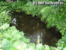[P11] La insula fluturilor - un lac artificial cu pesti colorati si multa verdeata » foto by cryss27
 - 
<span class="allrVoted glyphicon glyphicon-heart hidden" id="av288930"></span>
<a class="m-l-10 hidden" id="sv288930" onclick="voting_Foto_DelVot(,288930,3920)" role="button">șterge vot <span class="glyphicon glyphicon-remove"></span></a>
<a id="v9288930" class=" c-red"  onclick="voting_Foto_SetVot(288930)" role="button"><span class="glyphicon glyphicon-heart-empty"></span> <b>LIKE</b> = Votează poza</a> <img class="hidden"  id="f288930W9" src="/imagini/loader.gif" border="0" /><span class="AjErrMes hidden" id="e288930ErM"></span>