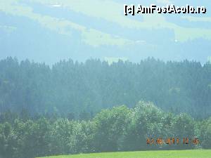 [P26] SCHEIDEGG / Verde cât cuprinde.  » foto by doina_c24
 - 
<span class="allrVoted glyphicon glyphicon-heart hidden" id="av380551"></span>
<a class="m-l-10 hidden" id="sv380551" onclick="voting_Foto_DelVot(,380551,3920)" role="button">șterge vot <span class="glyphicon glyphicon-remove"></span></a>
<a id="v9380551" class=" c-red"  onclick="voting_Foto_SetVot(380551)" role="button"><span class="glyphicon glyphicon-heart-empty"></span> <b>LIKE</b> = Votează poza</a> <img class="hidden"  id="f380551W9" src="/imagini/loader.gif" border="0" /><span class="AjErrMes hidden" id="e380551ErM"></span>