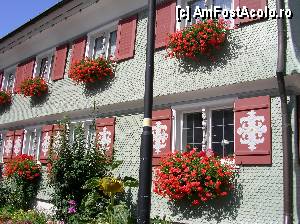 [P09] SCHEIDEGG / Demne de admirat, casele îngrijite din Scheidegg.  » foto by doina_c24
 - 
<span class="allrVoted glyphicon glyphicon-heart hidden" id="av380529"></span>
<a class="m-l-10 hidden" id="sv380529" onclick="voting_Foto_DelVot(,380529,3920)" role="button">șterge vot <span class="glyphicon glyphicon-remove"></span></a>
<a id="v9380529" class=" c-red"  onclick="voting_Foto_SetVot(380529)" role="button"><span class="glyphicon glyphicon-heart-empty"></span> <b>LIKE</b> = Votează poza</a> <img class="hidden"  id="f380529W9" src="/imagini/loader.gif" border="0" /><span class="AjErrMes hidden" id="e380529ErM"></span>