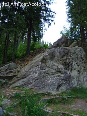 [P18] Stânci în pădure în preajma chiliei. » foto by tata123 🔱
 - 
<span class="allrVoted glyphicon glyphicon-heart hidden" id="av1269950"></span>
<a class="m-l-10 hidden" id="sv1269950" onclick="voting_Foto_DelVot(,1269950,3923)" role="button">șterge vot <span class="glyphicon glyphicon-remove"></span></a>
<a id="v91269950" class=" c-red"  onclick="voting_Foto_SetVot(1269950)" role="button"><span class="glyphicon glyphicon-heart-empty"></span> <b>LIKE</b> = Votează poza</a> <img class="hidden"  id="f1269950W9" src="/imagini/loader.gif" border="0" /><span class="AjErrMes hidden" id="e1269950ErM"></span>