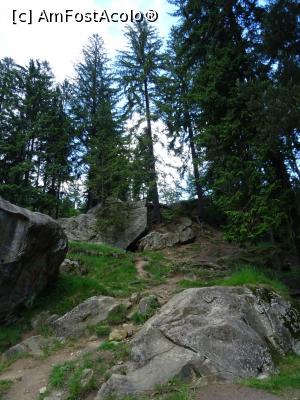 [P05] Megaliții din pădure. » foto by tata123 🔱
 - 
<span class="allrVoted glyphicon glyphicon-heart hidden" id="av1269937"></span>
<a class="m-l-10 hidden" id="sv1269937" onclick="voting_Foto_DelVot(,1269937,3923)" role="button">șterge vot <span class="glyphicon glyphicon-remove"></span></a>
<a id="v91269937" class=" c-red"  onclick="voting_Foto_SetVot(1269937)" role="button"><span class="glyphicon glyphicon-heart-empty"></span> <b>LIKE</b> = Votează poza</a> <img class="hidden"  id="f1269937W9" src="/imagini/loader.gif" border="0" /><span class="AjErrMes hidden" id="e1269937ErM"></span>