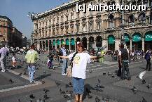 [P22] Milano - Porumbei in Piata Domului. » foto by iulianic
 - 
<span class="allrVoted glyphicon glyphicon-heart hidden" id="av239618"></span>
<a class="m-l-10 hidden" id="sv239618" onclick="voting_Foto_DelVot(,239618,3925)" role="button">șterge vot <span class="glyphicon glyphicon-remove"></span></a>
<a id="v9239618" class=" c-red"  onclick="voting_Foto_SetVot(239618)" role="button"><span class="glyphicon glyphicon-heart-empty"></span> <b>LIKE</b> = Votează poza</a> <img class="hidden"  id="f239618W9" src="/imagini/loader.gif" border="0" /><span class="AjErrMes hidden" id="e239618ErM"></span>