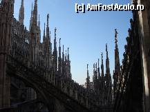 [P24] Pe acoperisul Domului din Milano » foto by Cristina67
 - 
<span class="allrVoted glyphicon glyphicon-heart hidden" id="av285771"></span>
<a class="m-l-10 hidden" id="sv285771" onclick="voting_Foto_DelVot(,285771,3925)" role="button">șterge vot <span class="glyphicon glyphicon-remove"></span></a>
<a id="v9285771" class=" c-red"  onclick="voting_Foto_SetVot(285771)" role="button"><span class="glyphicon glyphicon-heart-empty"></span> <b>LIKE</b> = Votează poza</a> <img class="hidden"  id="f285771W9" src="/imagini/loader.gif" border="0" /><span class="AjErrMes hidden" id="e285771ErM"></span>