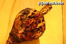 [P11] Cu aceste foale se intetea focul in semineele milanezilor in Evul Mediu » foto by liviadavidescu
 - 
<span class="allrVoted glyphicon glyphicon-heart hidden" id="av225134"></span>
<a class="m-l-10 hidden" id="sv225134" onclick="voting_Foto_DelVot(,225134,3925)" role="button">șterge vot <span class="glyphicon glyphicon-remove"></span></a>
<a id="v9225134" class=" c-red"  onclick="voting_Foto_SetVot(225134)" role="button"><span class="glyphicon glyphicon-heart-empty"></span> <b>LIKE</b> = Votează poza</a> <img class="hidden"  id="f225134W9" src="/imagini/loader.gif" border="0" /><span class="AjErrMes hidden" id="e225134ErM"></span>