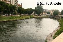 [P19] Un alt canal, populat cu rate salbatice » foto by liviadavidescu
 - 
<span class="allrVoted glyphicon glyphicon-heart hidden" id="av263140"></span>
<a class="m-l-10 hidden" id="sv263140" onclick="voting_Foto_DelVot(,263140,3925)" role="button">șterge vot <span class="glyphicon glyphicon-remove"></span></a>
<a id="v9263140" class=" c-red"  onclick="voting_Foto_SetVot(263140)" role="button"><span class="glyphicon glyphicon-heart-empty"></span> <b>LIKE</b> = Votează poza</a> <img class="hidden"  id="f263140W9" src="/imagini/loader.gif" border="0" /><span class="AjErrMes hidden" id="e263140ErM"></span>