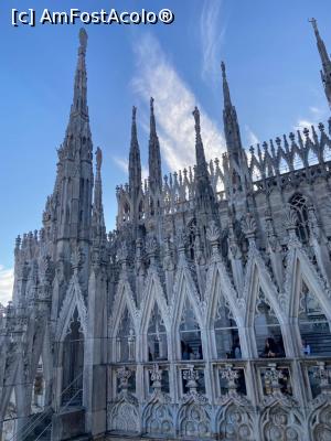 [P24] Dom Milano » foto by Chloe
 - 
<span class="allrVoted glyphicon glyphicon-heart hidden" id="av1355726"></span>
<a class="m-l-10 hidden" id="sv1355726" onclick="voting_Foto_DelVot(,1355726,3925)" role="button">șterge vot <span class="glyphicon glyphicon-remove"></span></a>
<a id="v91355726" class=" c-red"  onclick="voting_Foto_SetVot(1355726)" role="button"><span class="glyphicon glyphicon-heart-empty"></span> <b>LIKE</b> = Votează poza</a> <img class="hidden"  id="f1355726W9" src="/imagini/loader.gif" border="0" /><span class="AjErrMes hidden" id="e1355726ErM"></span>