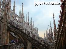 [P36] Domul din Milano : pădure de turnuri și sculpturi pe una din terasele acoperișului » foto by mariana.olaru
 - 
<span class="allrVoted glyphicon glyphicon-heart hidden" id="av327185"></span>
<a class="m-l-10 hidden" id="sv327185" onclick="voting_Foto_DelVot(,327185,3925)" role="button">șterge vot <span class="glyphicon glyphicon-remove"></span></a>
<a id="v9327185" class=" c-red"  onclick="voting_Foto_SetVot(327185)" role="button"><span class="glyphicon glyphicon-heart-empty"></span> <b>LIKE</b> = Votează poza</a> <img class="hidden"  id="f327185W9" src="/imagini/loader.gif" border="0" /><span class="AjErrMes hidden" id="e327185ErM"></span>